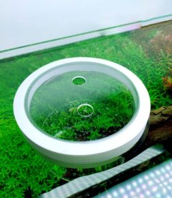 Suspended Acrylic Fish Tank Isolation Box