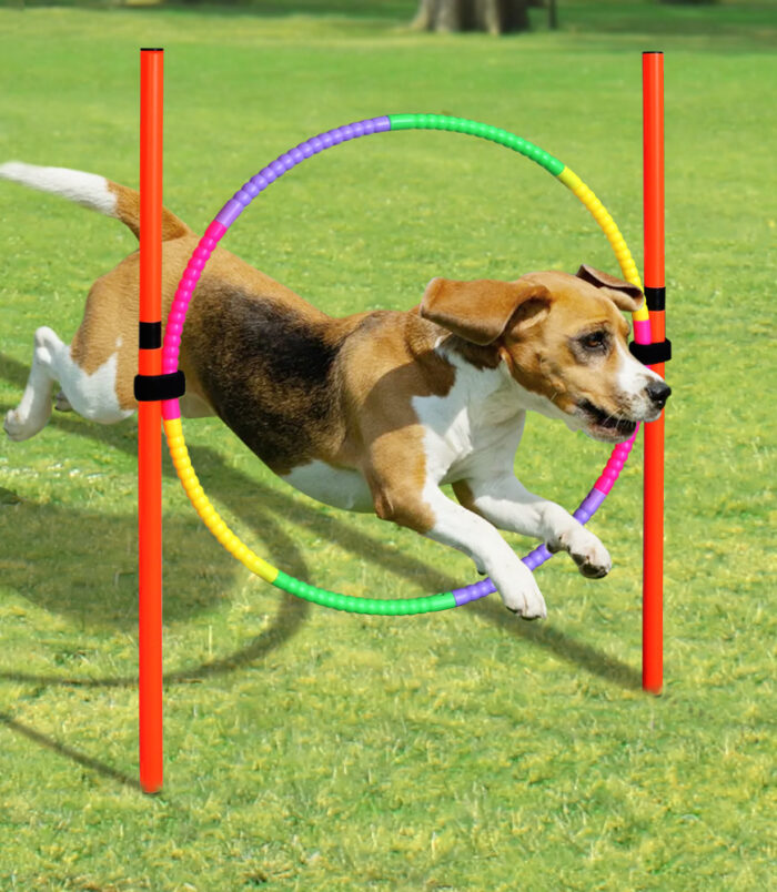 db1f592c35ac514dafd5890ac283b9a7.jpg db1f592c35ac514dafd5890ac283b9a7.jpg