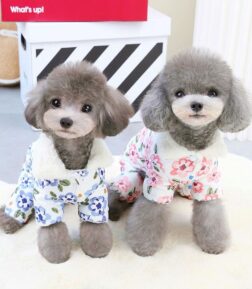 Winter Pet Coat