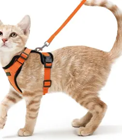 Escape-Proof Cat Harness & Leash