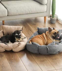 3-in-1 Multifunction Dog Bed Mat