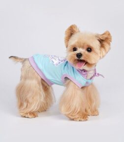Summer Hooded Vest for Dogs & Cats