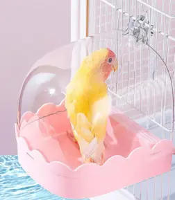 Hanging Bird Bath Box
