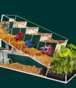 Stylish Acrylic Betta Fish Tank
