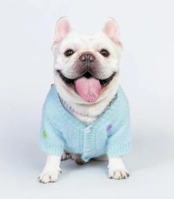 Warm Winter Knit Cardigan