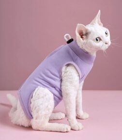 Cat & Small Dog Sterilization Recovery Suit