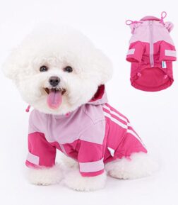 Hooded Jacket