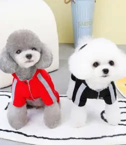 Waterproof Windproof Warm Winter Coat for Small Dogs & Puppies
