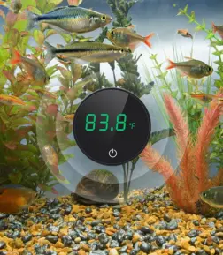 High-Precision Digital Fish Tank Thermometer