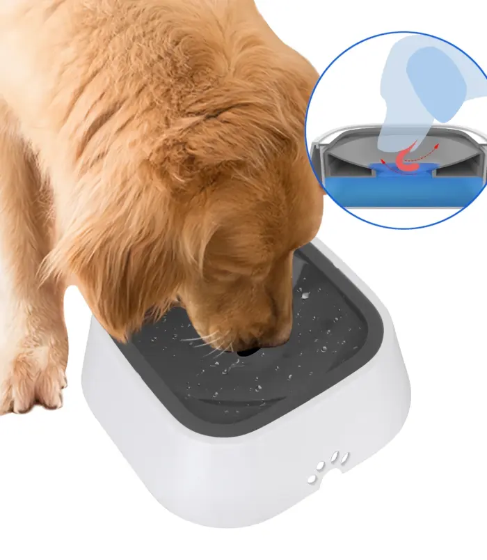 e9a173af585e4e938217c4021e133aa9.webp e9a173af585e4e938217c4021e133aa9.webp