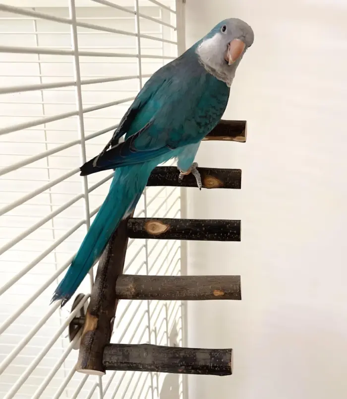 ea152e8c2b34ef1b359226e76614dfe4.webp ea152e8c2b34ef1b359226e76614dfe4.webp