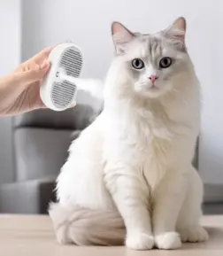 Steamy Grooming Brush with Electric Sprayer