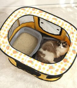 Foldable Large Cat Maternity Tent