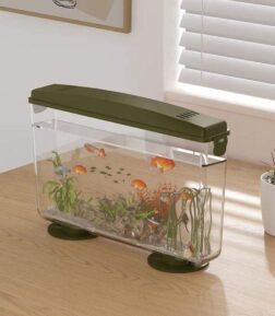 Simple Ecological Desktop Fish Tank