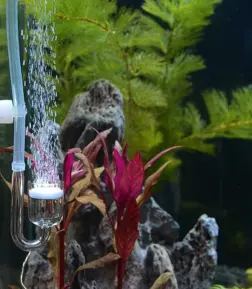 CO2 Diffuser System for Aquariums