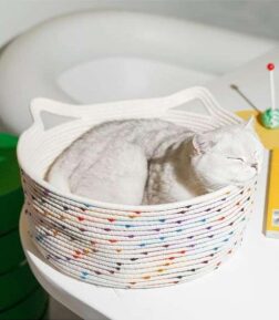 Hand-Woven Pet Bed & Cat House