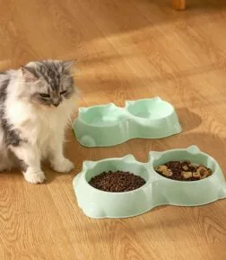 Double Pet Bowl – Two-in-One Anti-Slip Food and Water Dish for Cats