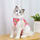 f3f21a8671977565b994f3a8430ea98f.webp