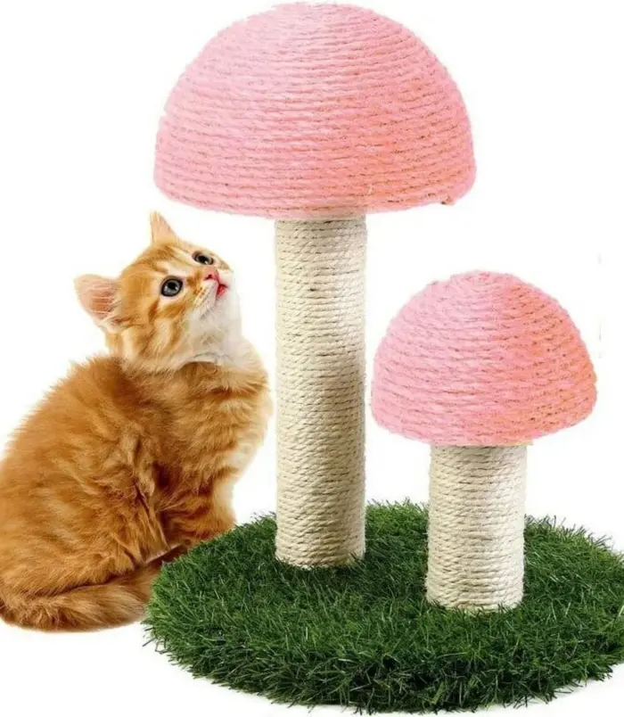 f4abf4718a53058a777efb4f161560e4.webp