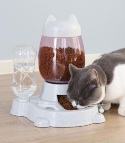 2-in-1 Cat Food Feeder Bowl