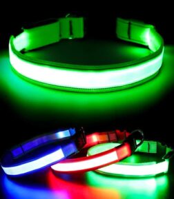 Adjustable LED Dog Collar - USB Rechargeable, Flashing Safety Light, Multiple Sizes