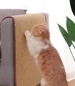 Cat Scratch Sisal Mat