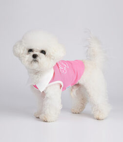 Breathable Summer Dog Vest