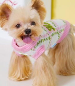 Warm Knit Winter Pet Sweater