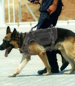 Adjustable Dog Tactical Harness Molle Vest