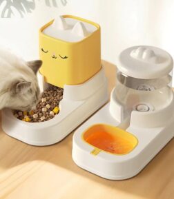 2L Automatic Cat Feeder and Water Dispenser