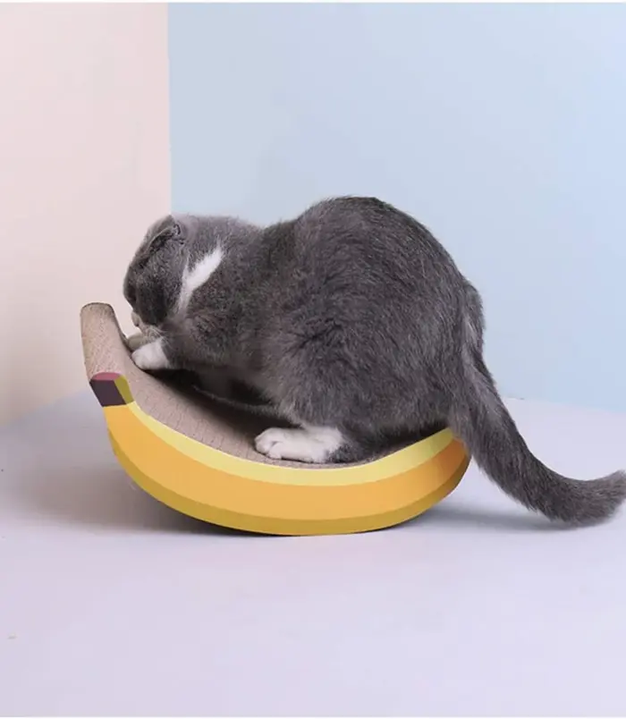 fe2a9587864596bee2673a5153587ad2.webp fe2a9587864596bee2673a5153587ad2.webp